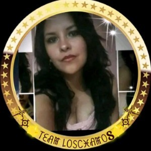Verytog08 -Team Los Chamos